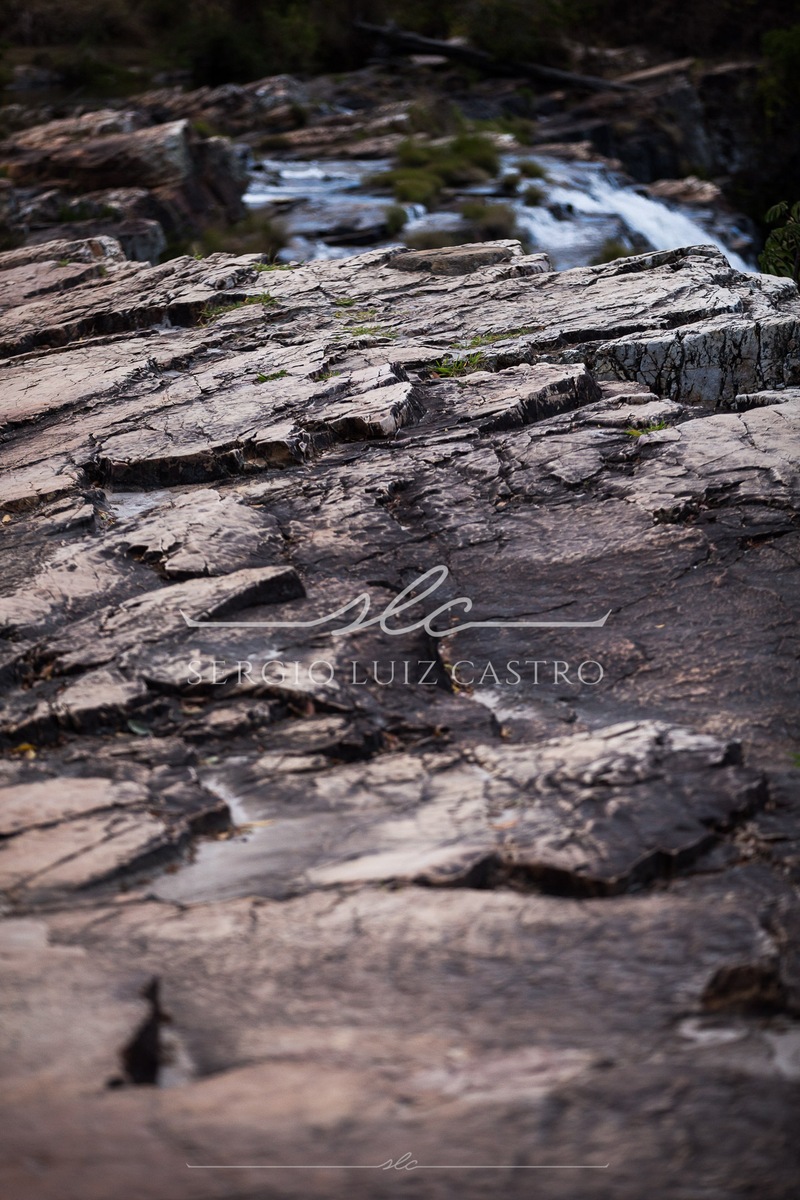 1 Natureza_SerradoCipo_Set2014-2.jpg