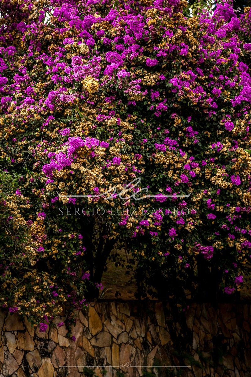 1 Mosaico_Sabara_Maio2019.jpg