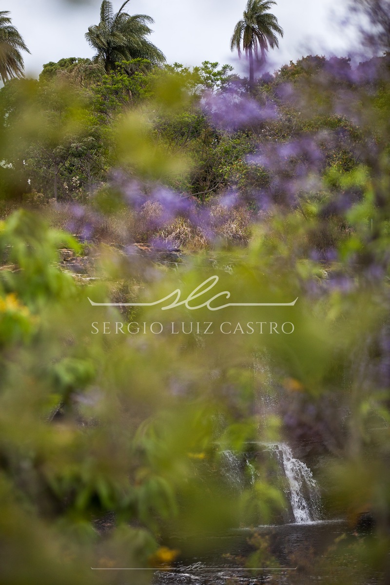 1 Natureza_SerradoCipo_Set2014-9.jpg