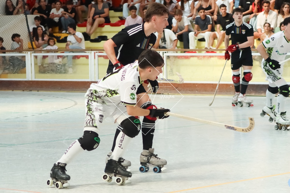 IMG_1371.jpg