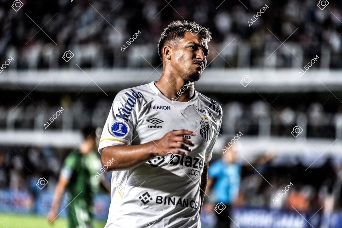 230420_Santos_0x0_Audax-CHI_Sulamericana_foto Dennis Calçada_01 (136)-1.jpg