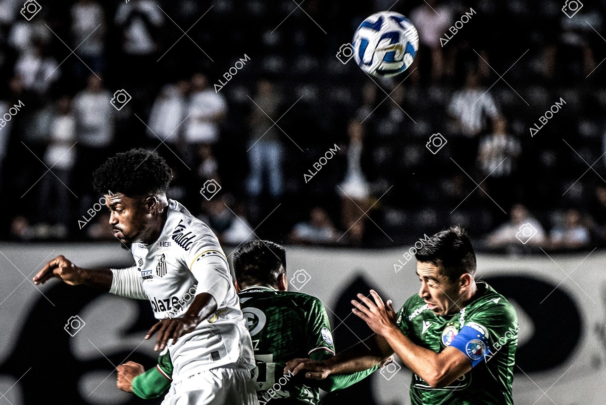 230420_Santos_0x0_Audax-CHI_Sulamericana_foto Dennis Calçada_01 (147)-1.jpg
