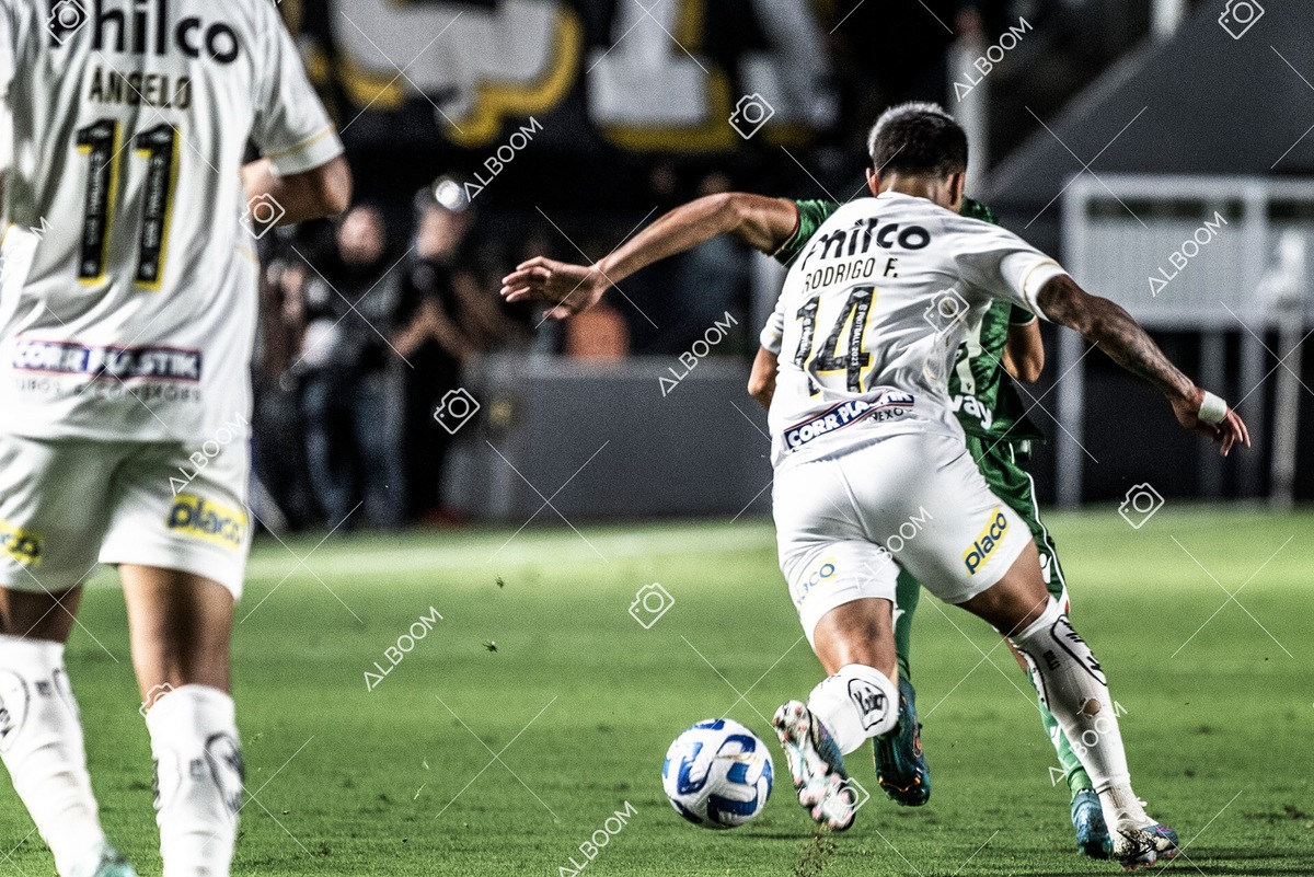 230420_Santos_0x0_Audax-CHI_Sulamericana_foto Dennis Calçada_01 (124)-1.jpg