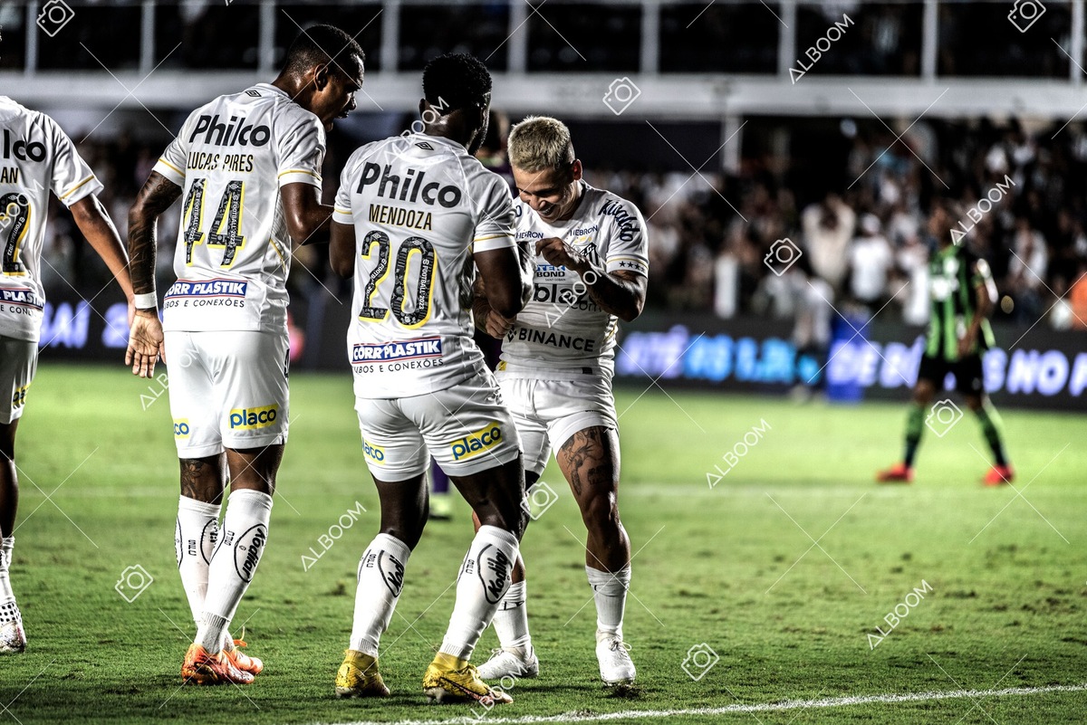 230429_SFC_3x2_AméricaMG_Brasileirão_foto Dennis Calçada_01 (180)-1.jpg