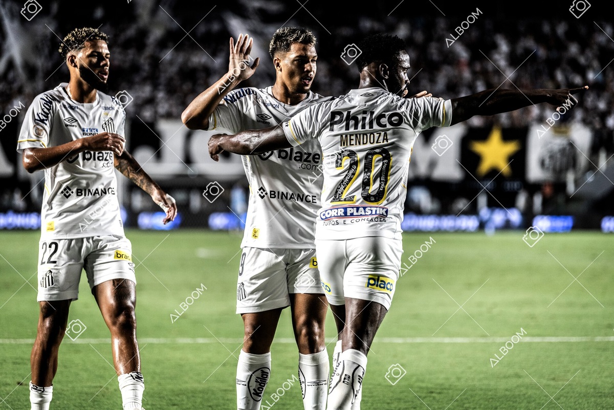 230429_SFC_3x2_AméricaMG_Brasileirão_foto Dennis Calçada_01 (169)-1.jpg