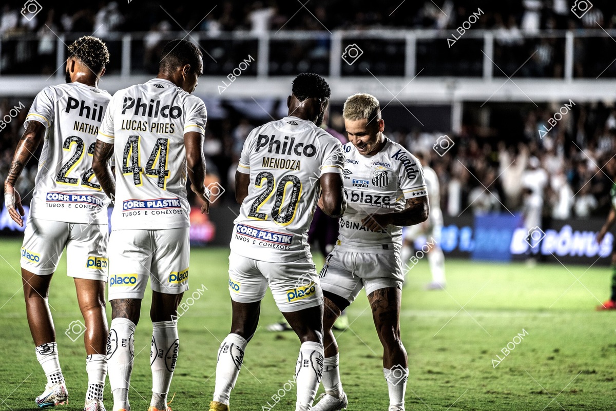 230429_SFC_3x2_AméricaMG_Brasileirão_foto Dennis Calçada_01 (178)-1.jpg