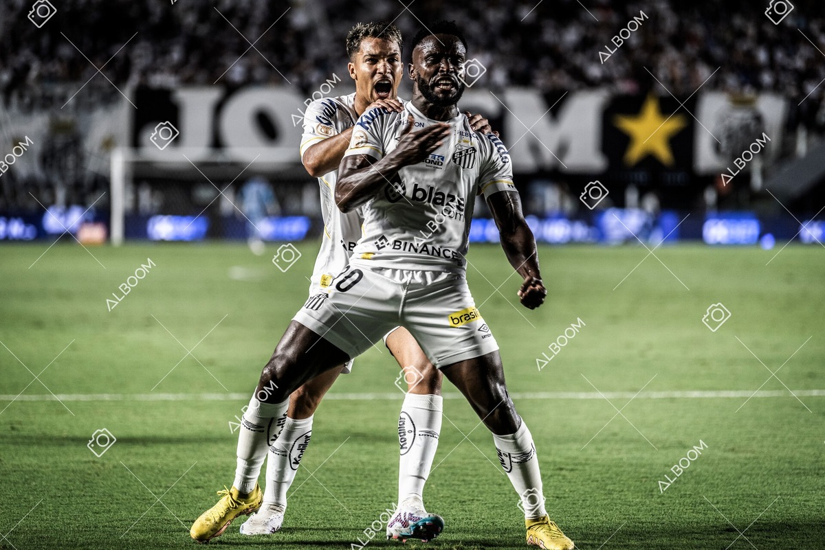 230429_SFC_3x2_AméricaMG_Brasileirão_foto Dennis Calçada_01 (166)-1.jpg