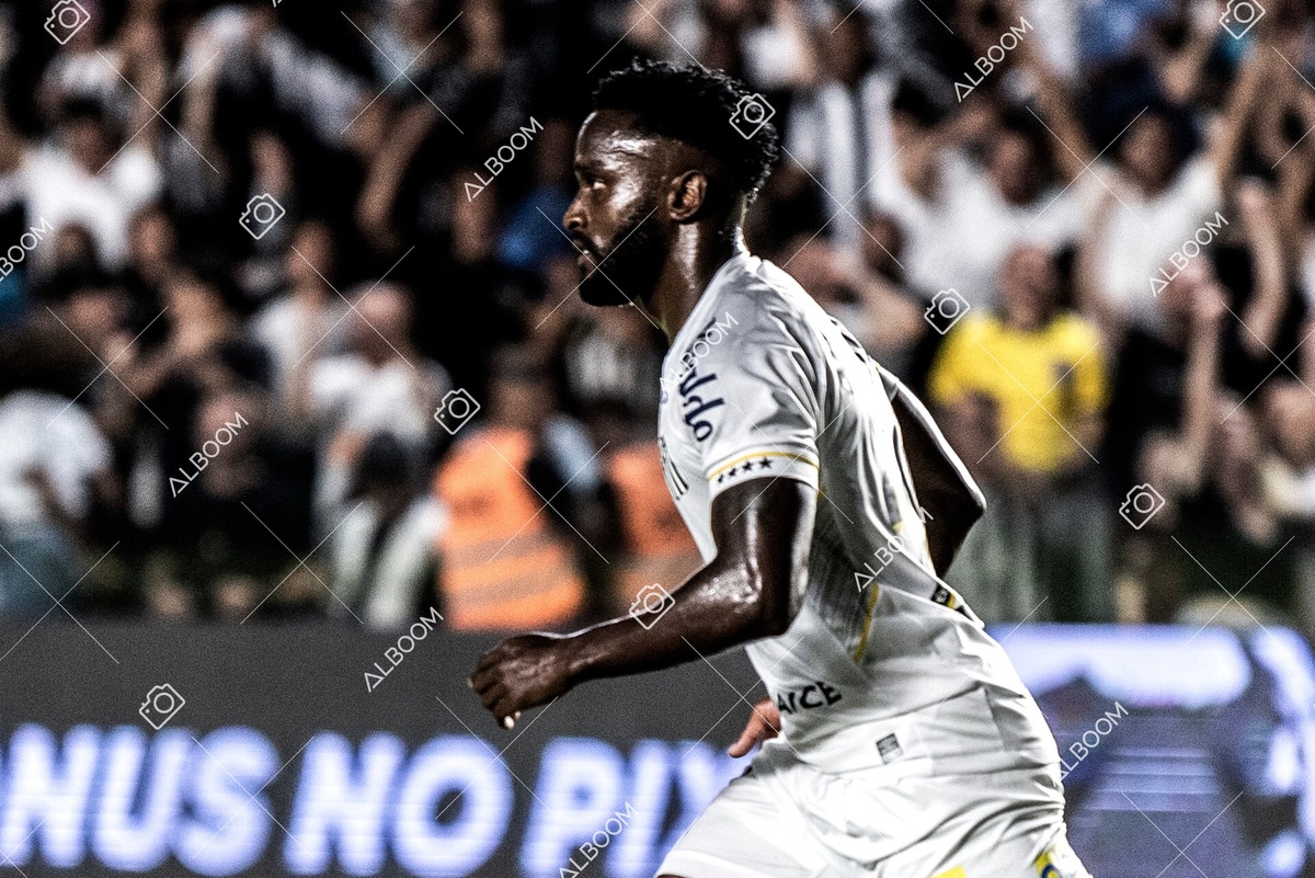 230429_SFC_3x2_AméricaMG_Brasileirão_foto Dennis Calçada_01 (143)-1A.jpg