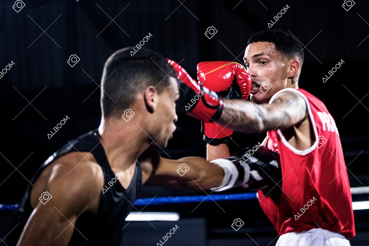 220820_2Edicao_BoxeEvolutionn_foto Dennis Calçada_01 (1695)-1.jpg