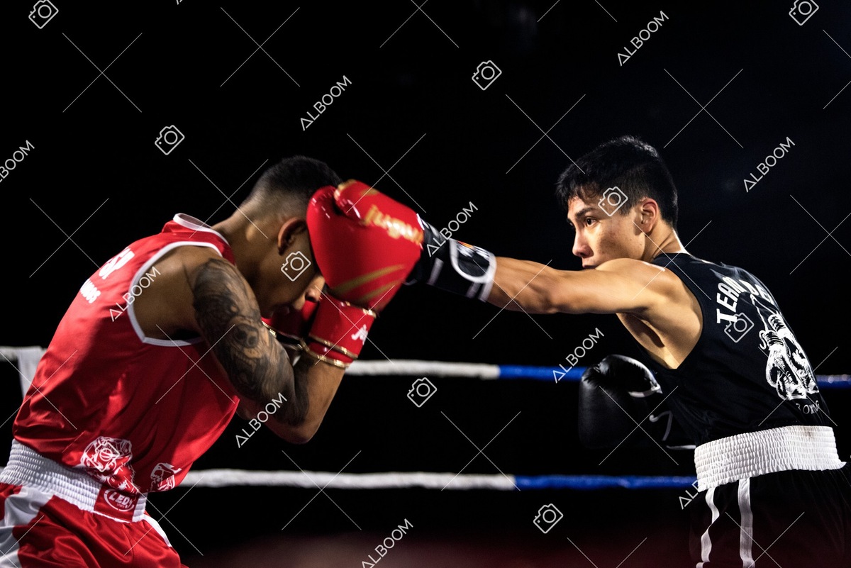 220820_2Edicao_BoxeEvolutionn_foto Dennis Calçada_01 (1764)-1.jpg