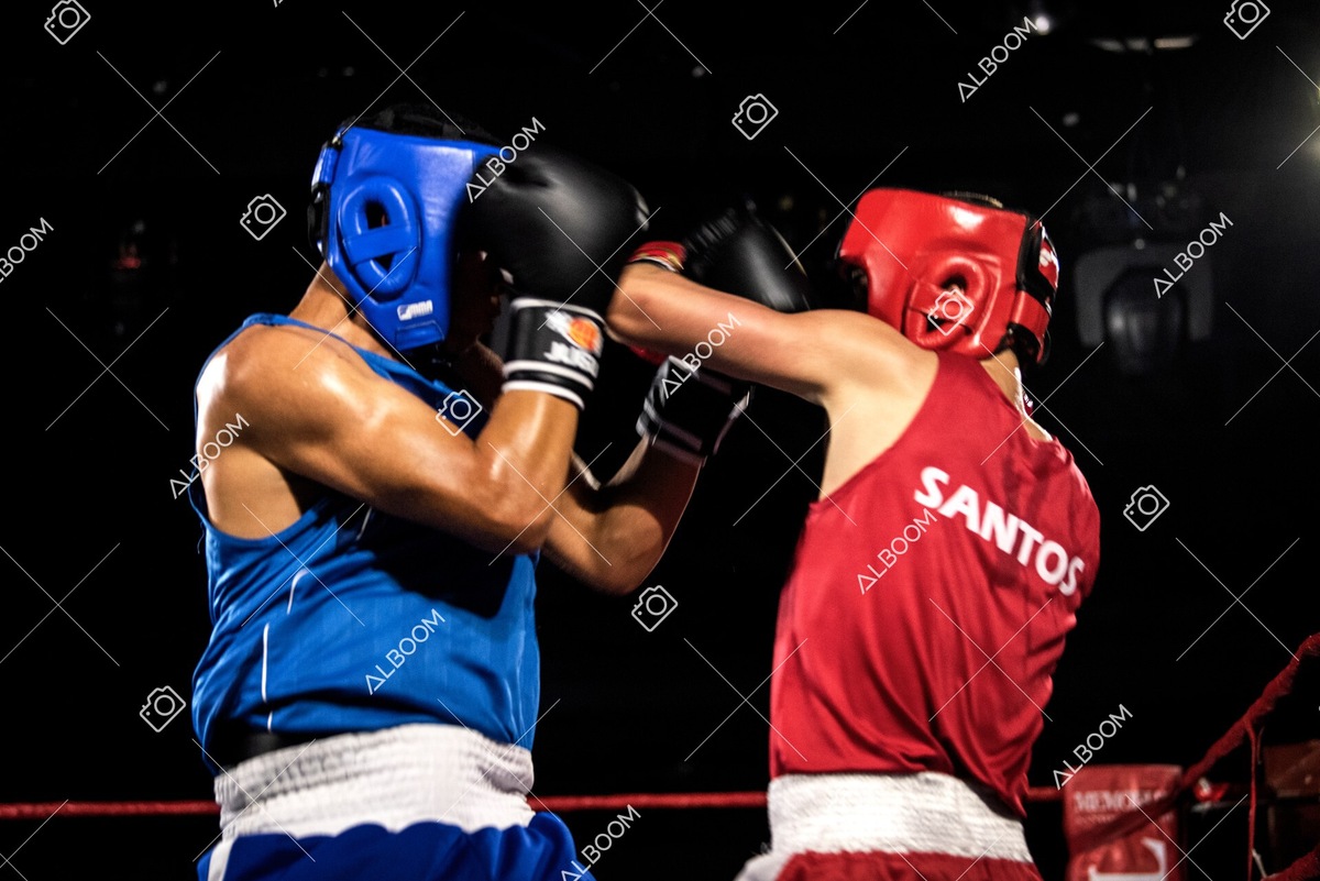 220820_2Edicao_BoxeEvolutionn_foto Dennis Calçada_01 (1356)-1.jpg