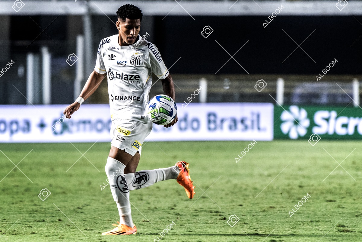 230426_SFC_1x0_BotafogoSP_CopaDoBrasil_Foto Dennis Calçada_01 (212)-1.png