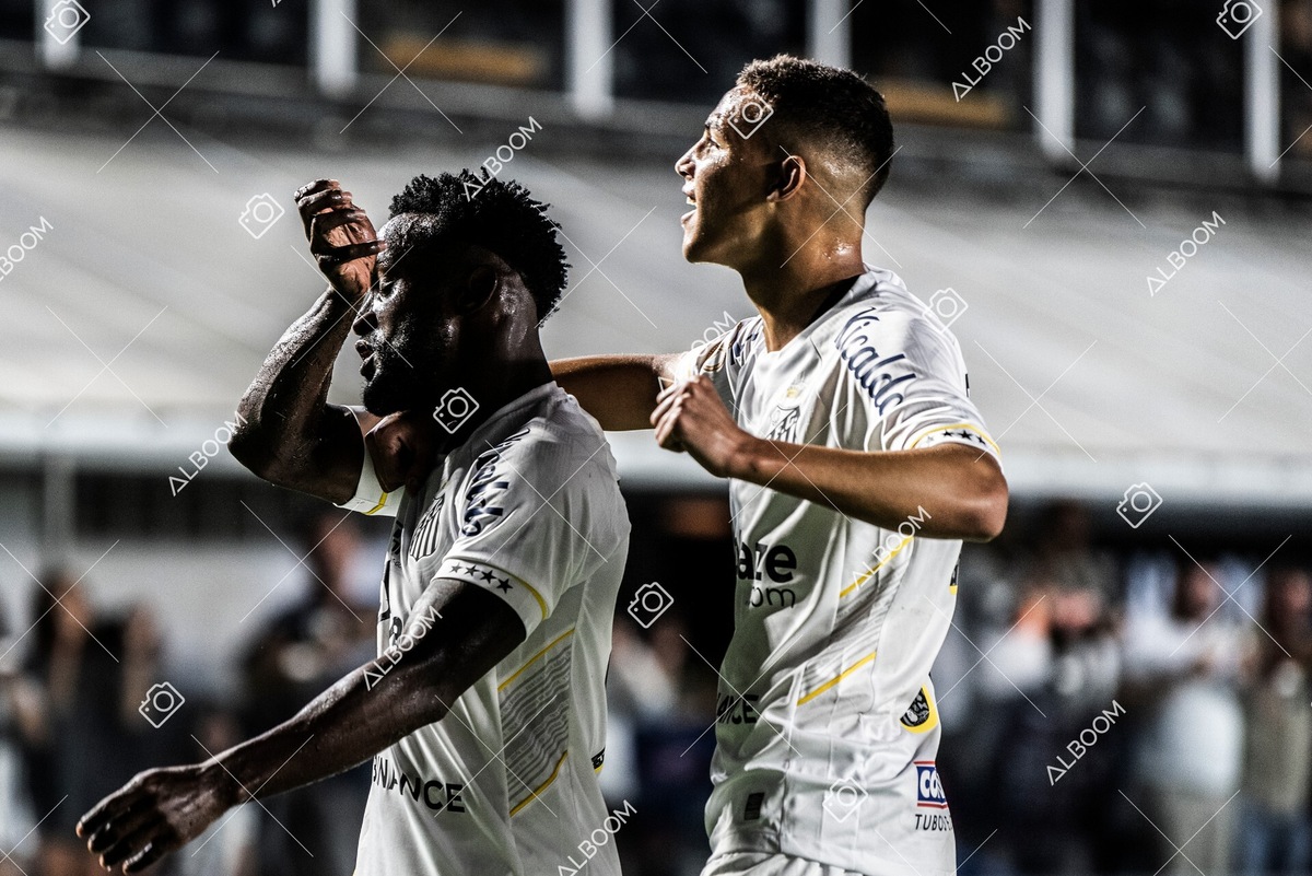 230510_Santos_3x0_Bahia_Brasileirão_foto Dennis Calçada_01 (266)-1.jpg