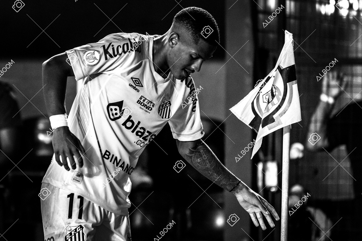 230510_Santos_3x0_Bahia_Brasileirão_foto Dennis Calçada_01 (562)-1PB.jpg