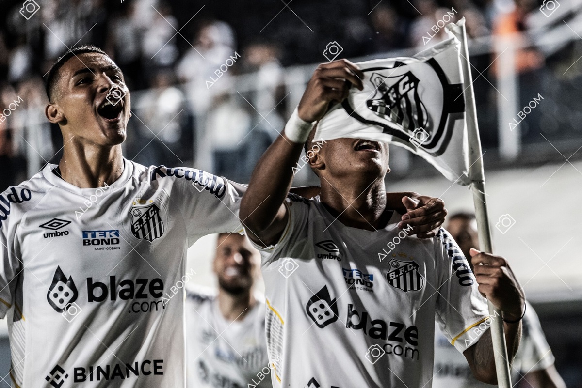 230510_Santos_3x0_Bahia_Brasileirão_foto Dennis Calçada_01 (531)-1.jpg