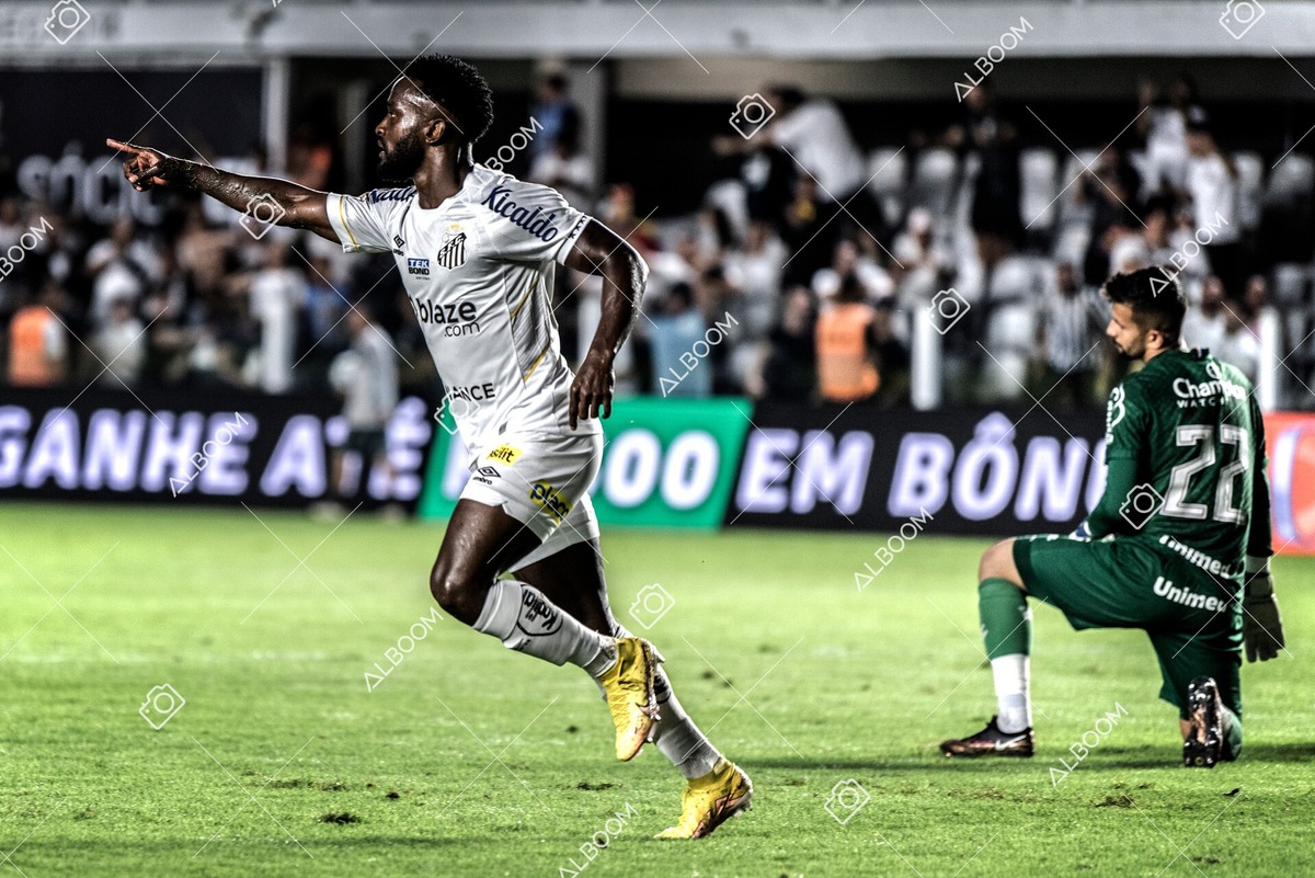 230510_Santos_3x0_Bahia_Brasileirão_foto Dennis Calçada_01 (244)-1.jpg