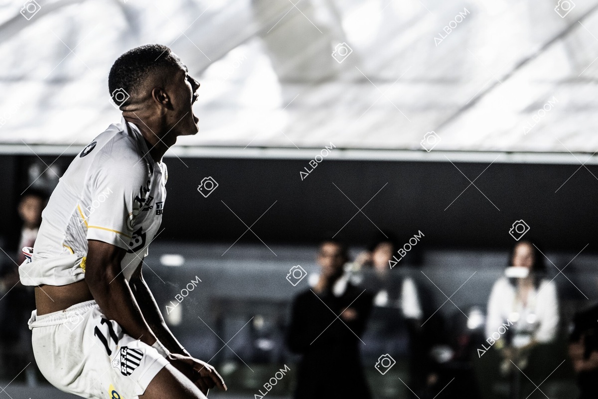 230510_Santos_3x0_Bahia_Brasileirão_foto Dennis Calçada_01 (511)-1.jpg
