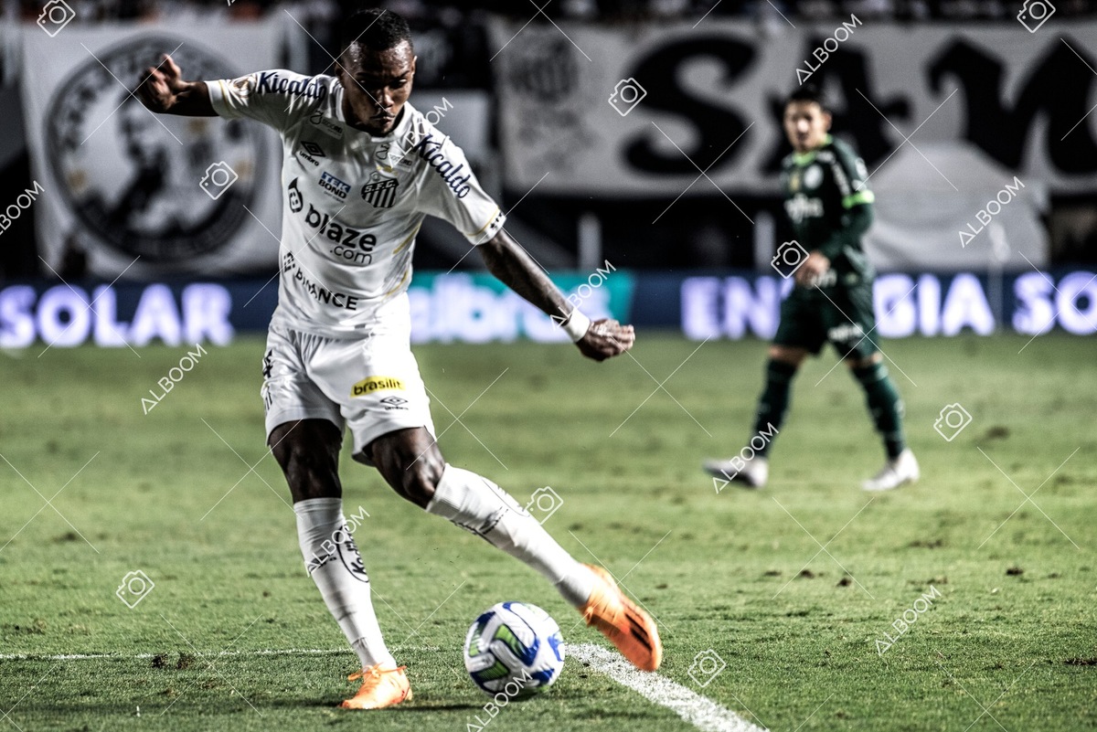 230520_SFC_0x0_Palmeiras_Brasileirão_foto Dennis Calçada_01 (803)-1.jpg