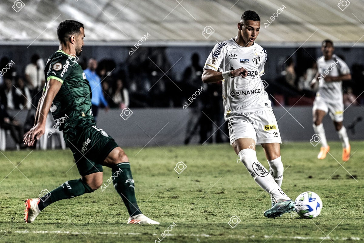 230520_SFC_0x0_Palmeiras_Brasileirão_foto Dennis Calçada_01 (685)-1.jpg