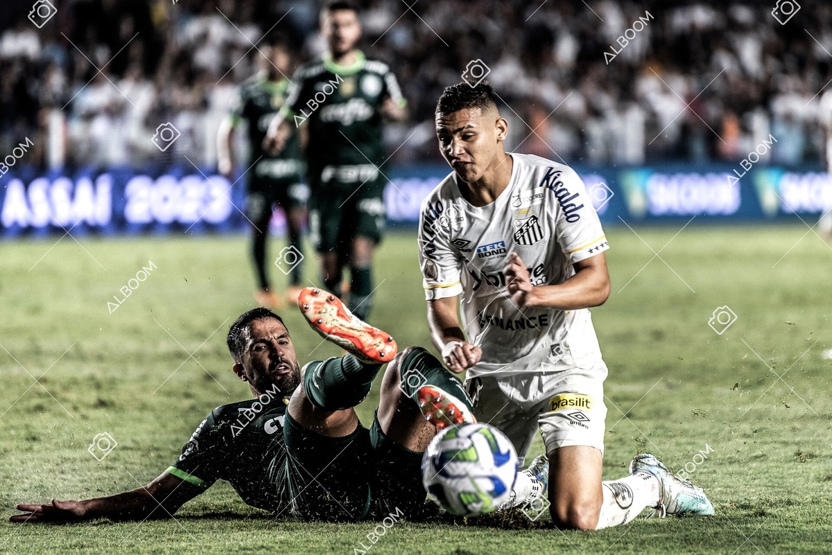 230520_SFC_0x0_Palmeiras_Brasileirão_foto Dennis Calçada_01 (123)-1.jpg