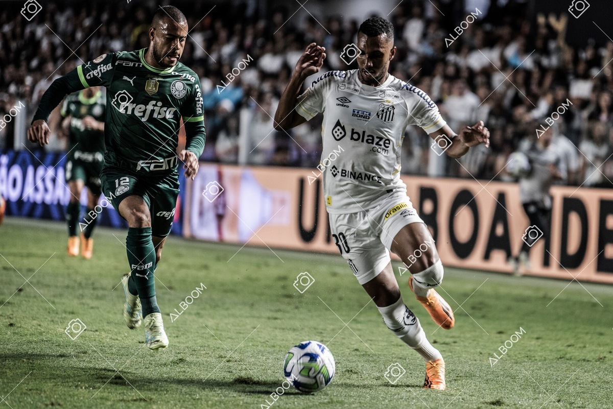 230520_SFC_0x0_Palmeiras_Brasileirão_foto Dennis Calçada_01 (593)-1.jpg