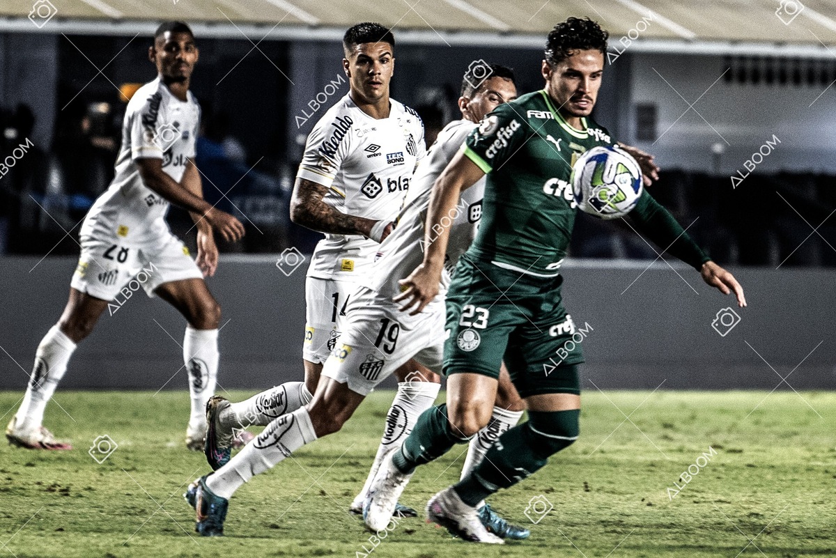 230520_SFC_0x0_Palmeiras_Brasileirão_foto Dennis Calçada_01 (497)-1.jpg