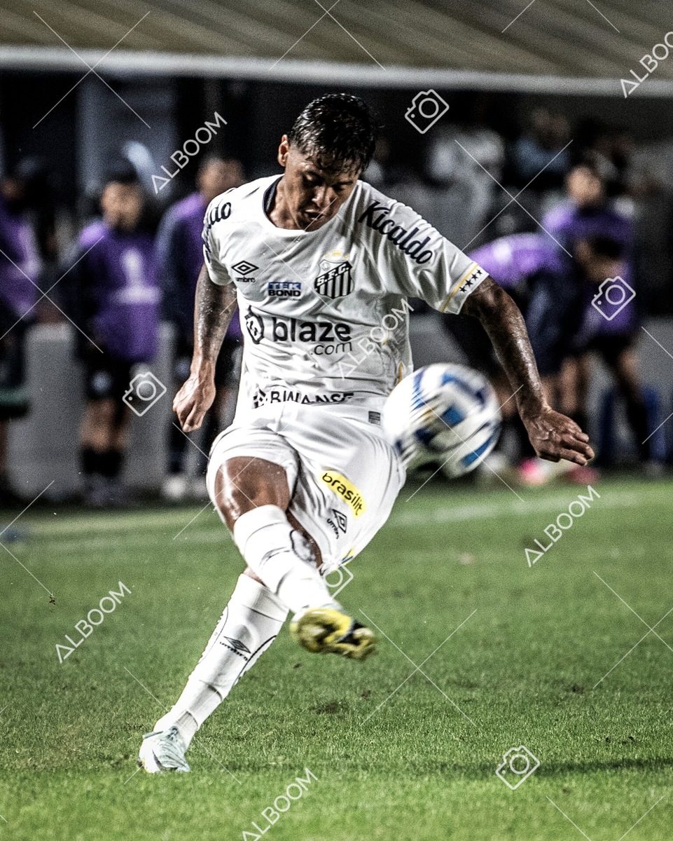 230629_Santos_0x0_Blooming_Sulamericana_foto Dennis Calçada_01 (597)-1.jpg