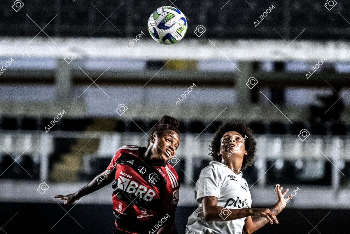 230224_Santos_3x0_Flamengo_Brasileiro_fotoDC_01 (702)-1.jpg