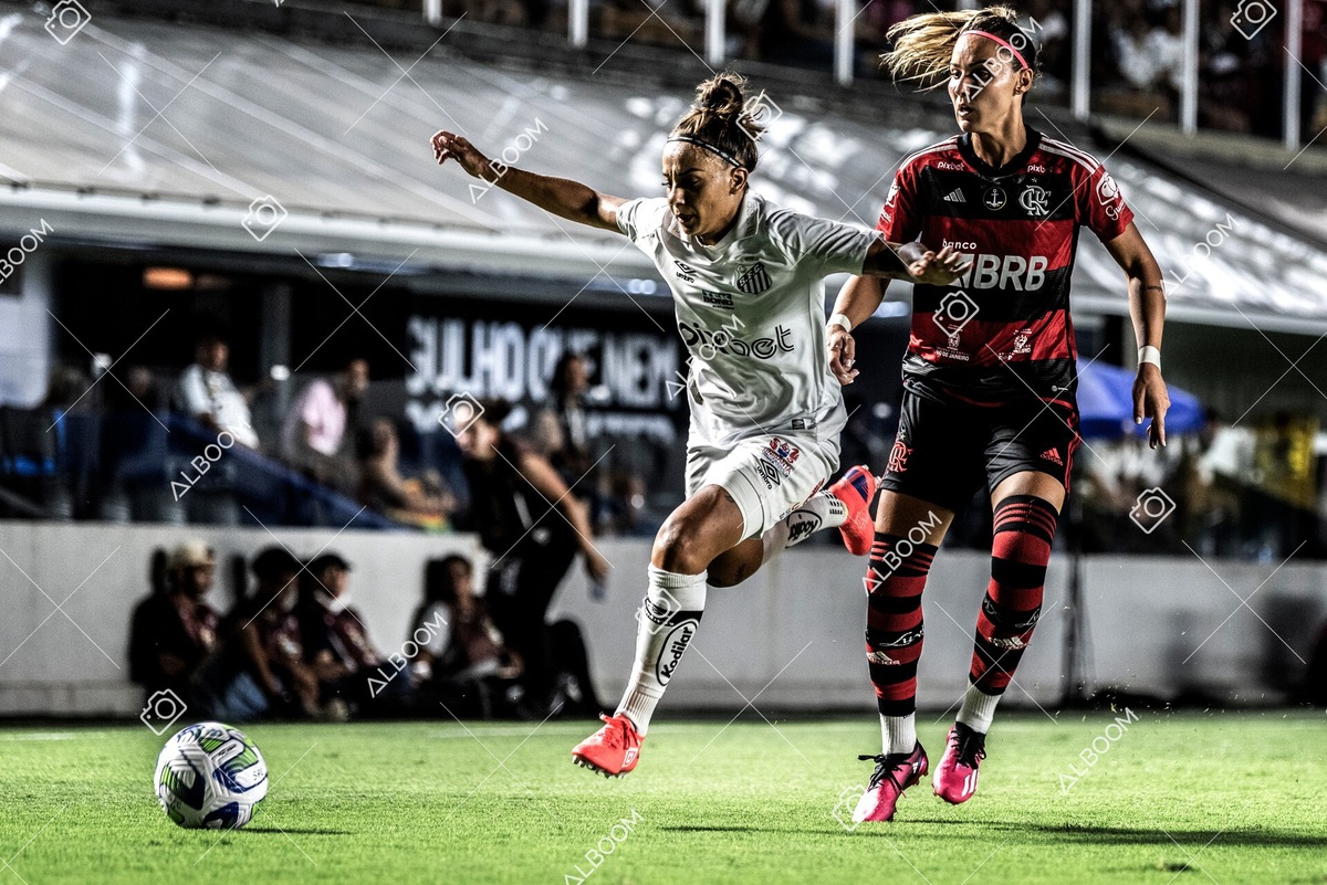 230224_Santos_3x0_Flamengo_Brasileiro_fotoDC_01 (289)-1.jpg