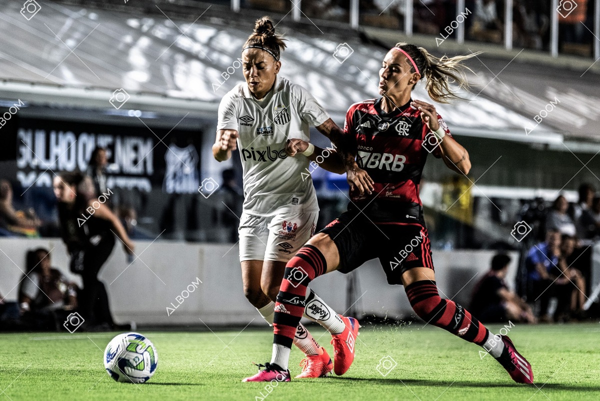 230224_Santos_3x0_Flamengo_Brasileiro_fotoDC_01 (288)-1.jpg