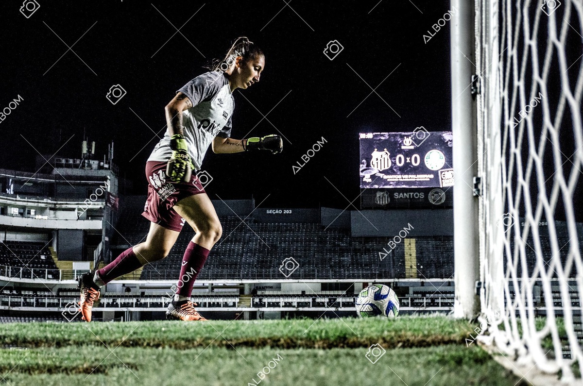 230327_Santos_1x1_Palmeiras)Brasileirão_foto Dennis Calçada 01 (789)-1.jpg