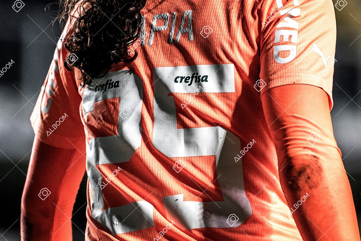 230327_Santos_1x1_Palmeiras)Brasileirão_foto Dennis Calçada 01 (539)-1.jpg