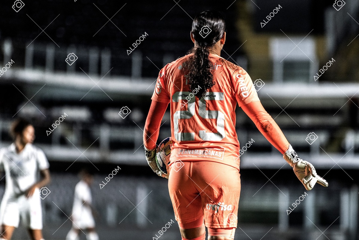 230327_Santos_1x1_Palmeiras)Brasileirão_foto Dennis Calçada 01 (540)-1.jpg