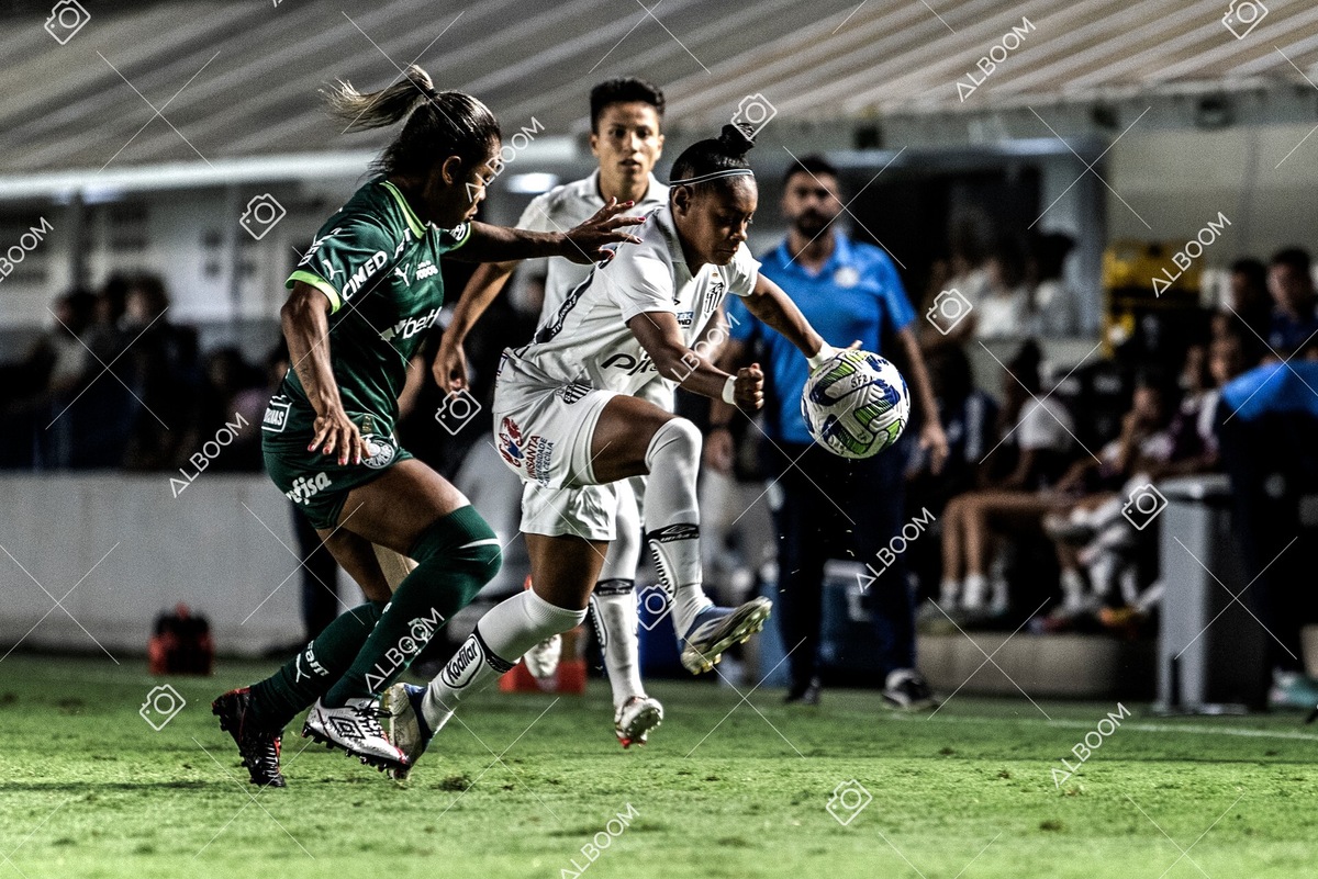 230327_Santos_1x1_Palmeiras)Brasileirão_foto Dennis Calçada 01 (501)-1.jpg