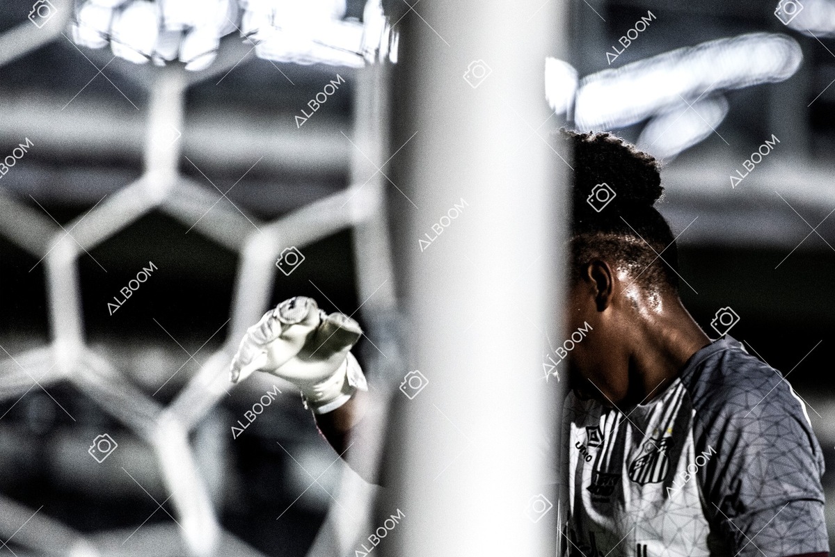 230327_Santos_1x1_Palmeiras)Brasileirão_foto Dennis Calçada 01 (62)-1.jpg