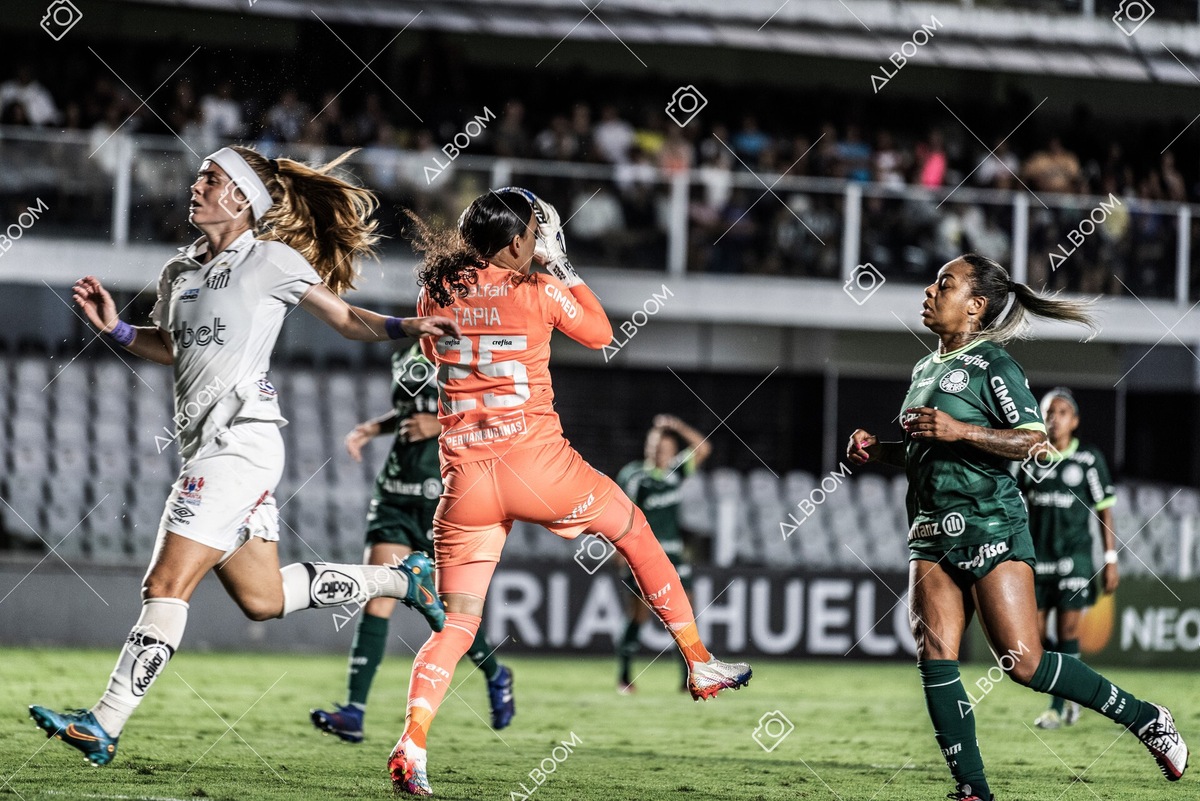 230327_Santos_1x1_Palmeiras)Brasileirão_foto Dennis Calçada 01 (578)-1.jpg