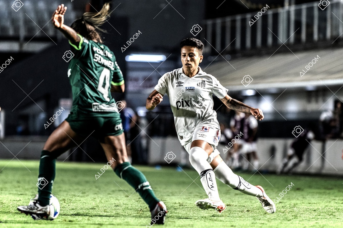 230327_Santos_1x1_Palmeiras)Brasileirão_foto Dennis Calçada 01 (548)-1.jpg