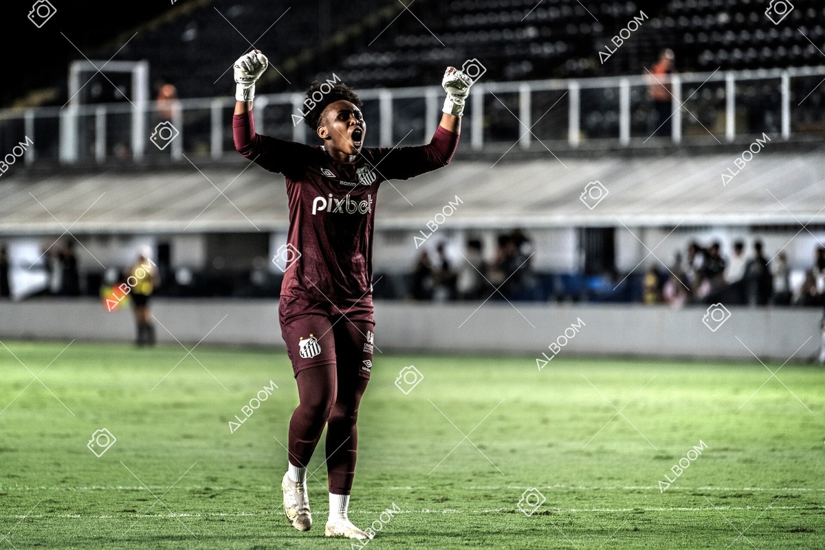 230327_Santos_1x1_Palmeiras)Brasileirão_foto Dennis Calçada 01 (282)-1.jpg