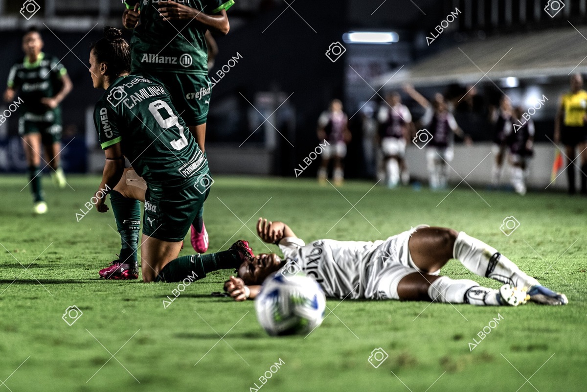 230327_Santos_1x1_Palmeiras)Brasileirão_foto Dennis Calçada 01 (659)-1.jpg