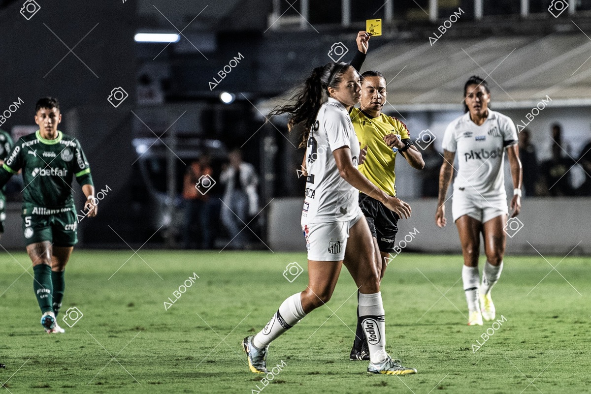230327_Santos_1x1_Palmeiras)Brasileirão_foto Dennis Calçada 01 (391)-1.jpg