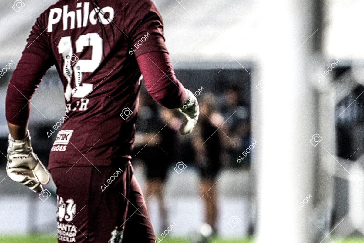 230327_Santos_1x1_Palmeiras)Brasileirão_foto Dennis Calçada 01 (321)-1.jpg