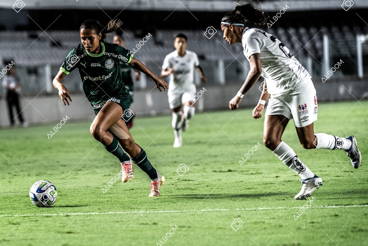 230327_Santos_1x1_Palmeiras)Brasileirão_foto Dennis Calçada 01 (246)-1.jpg