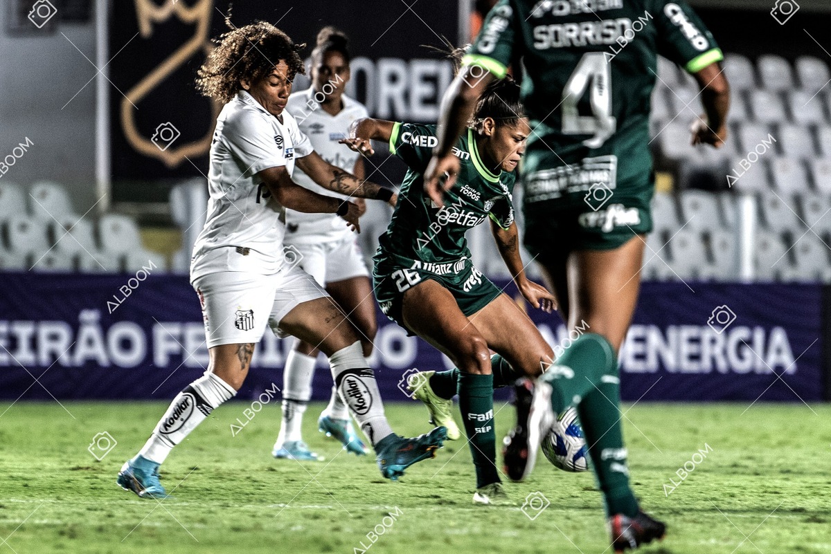 230327_Santos_1x1_Palmeiras)Brasileirão_foto Dennis Calçada 01 (712)-1.jpg