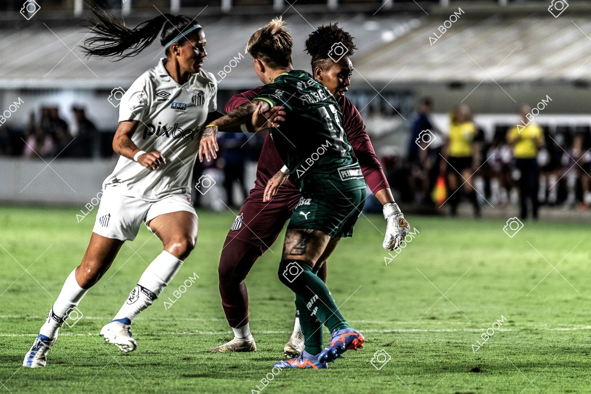 230327_Santos_1x1_Palmeiras)Brasileirão_foto Dennis Calçada 01 (479)-1.jpg
