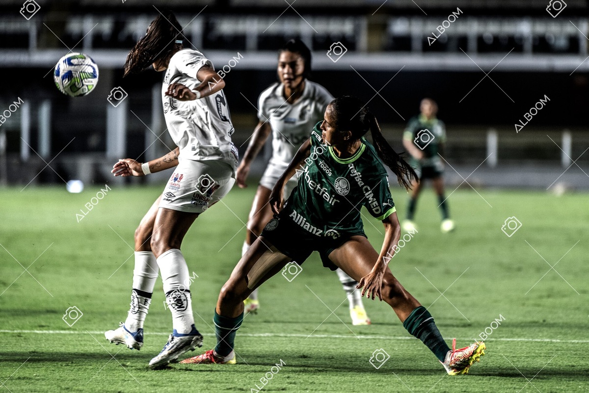 230327_Santos_1x1_Palmeiras)Brasileirão_foto Dennis Calçada 01 (292)-1.jpg