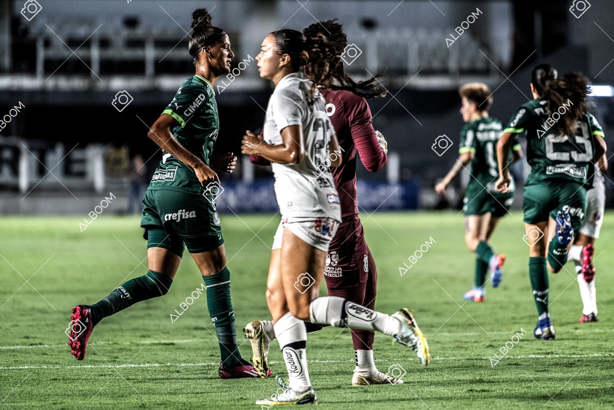 230327_Santos_1x1_Palmeiras)Brasileirão_foto Dennis Calçada 01 (317)-1.jpg
