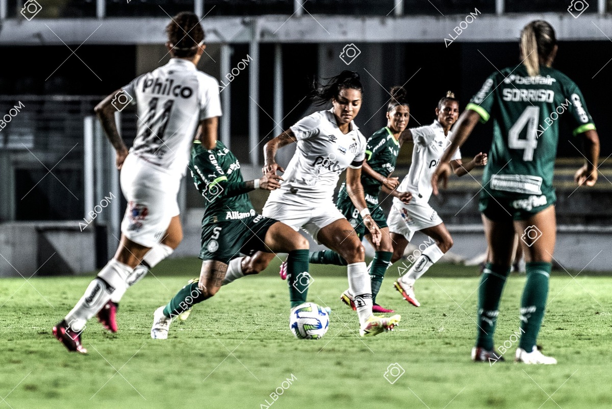 230327_Santos_1x1_Palmeiras)Brasileirão_foto Dennis Calçada 01 (588)-1.jpg