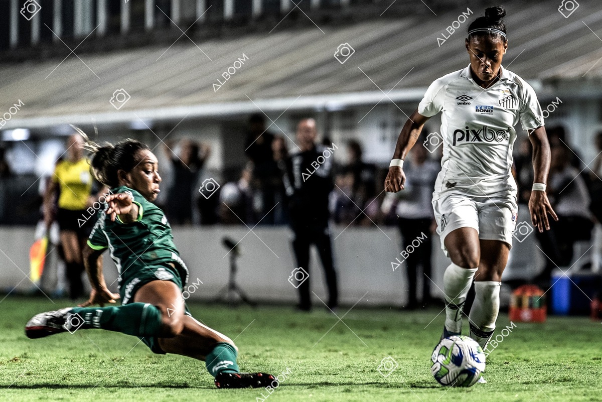 230327_Santos_1x1_Palmeiras)Brasileirão_foto Dennis Calçada 01 (612)-1.jpg