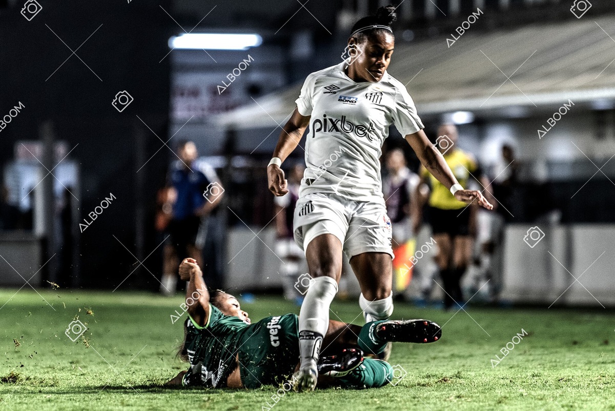 230327_Santos_1x1_Palmeiras)Brasileirão_foto Dennis Calçada 01 (701)-1.jpg