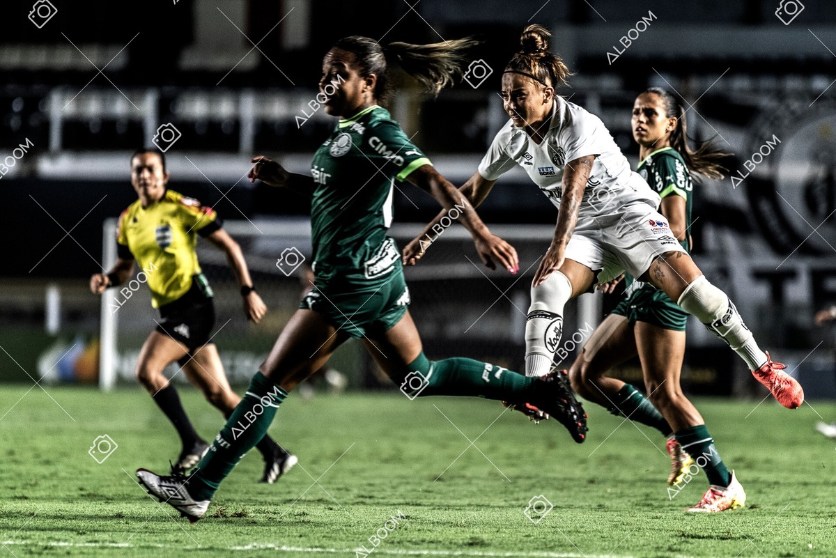 230327_Santos_1x1_Palmeiras)Brasileirão_foto Dennis Calçada 01 (505)-1.jpg